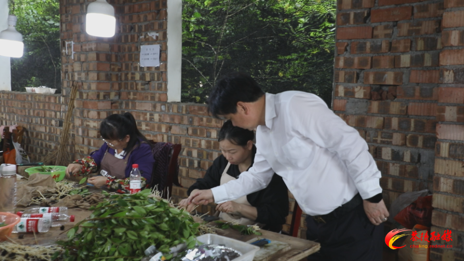茶陵二铺苗圃：嫁接希望苗 绿富双引擎