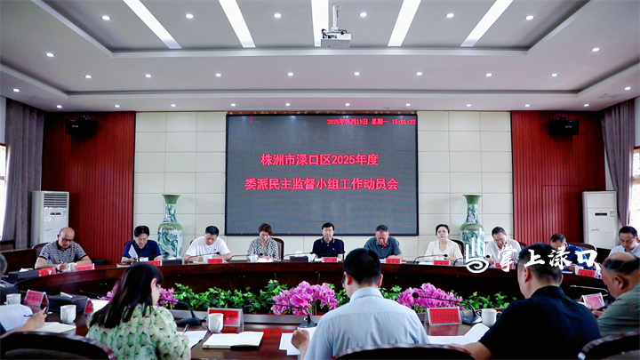 渌口区政协召开2025年度委派民主监督小组工作动员会议