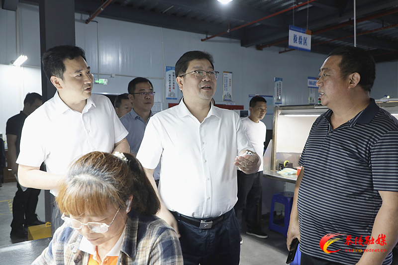杨红兵到火田镇调研