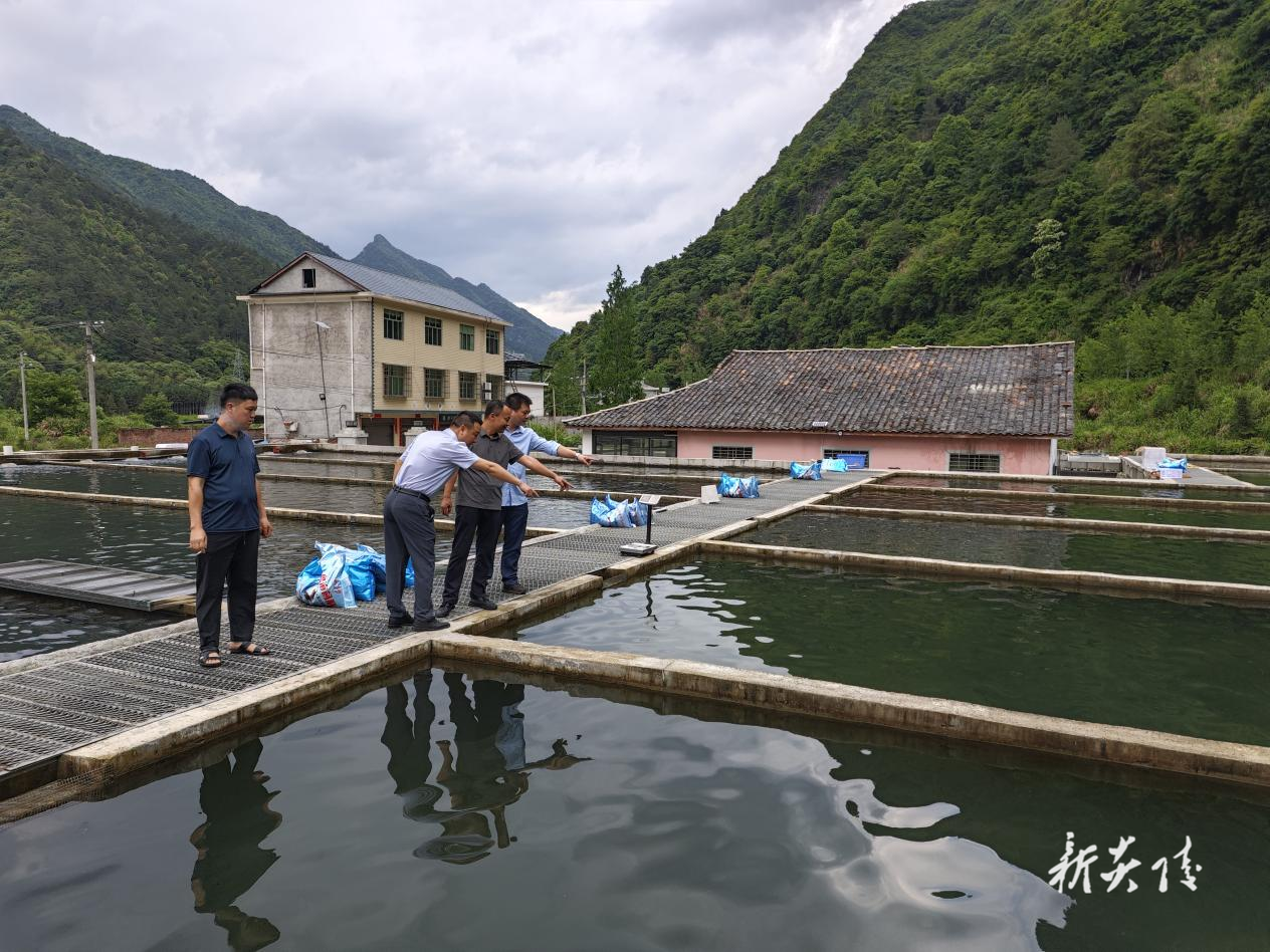 中村瑶族乡：筑牢红星桥村冷水鱼养殖“安全堤” 汛期生产不放松