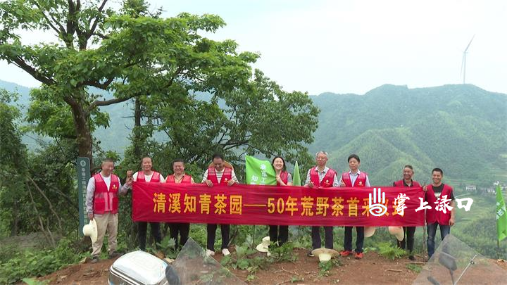 湖南省茶叶研究所一行来渌口区调研