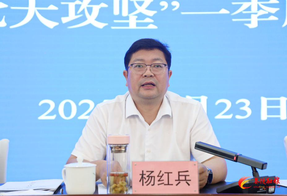 茶陵县2025年打造“三个高地”和实施“七大攻坚”一季度讲评会议召开