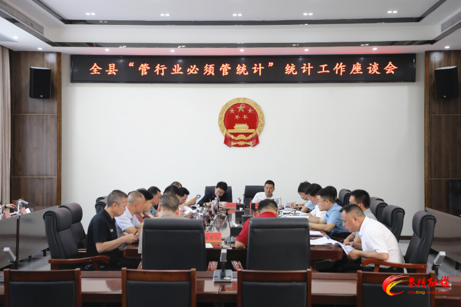 茶陵县“管行业必须管统计”统计工作座谈会召开