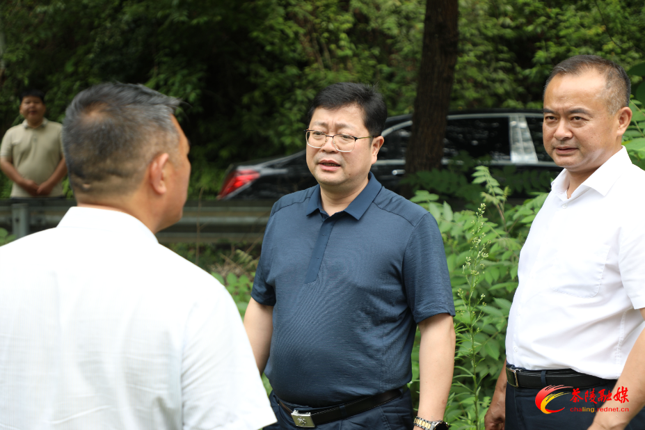 杨红兵到桃坑乡调研