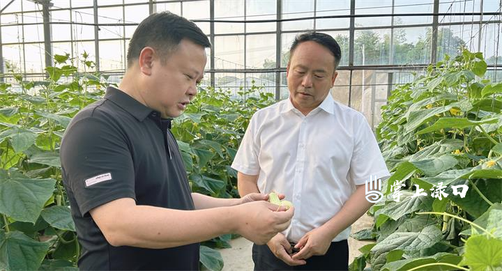 李晓彤调研亚热带果蔬特色产业发展情况