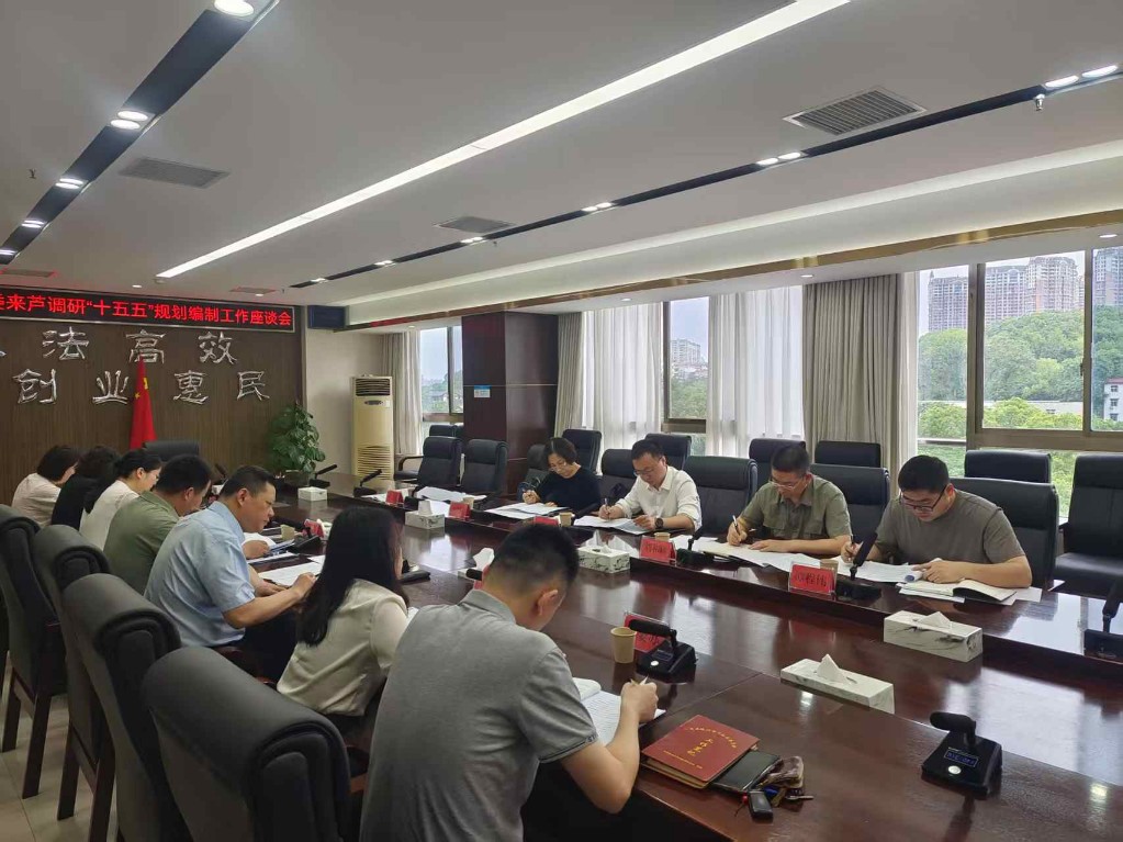 市发改委赴芦淞区开展“十五五”规划编制工作调研座谈