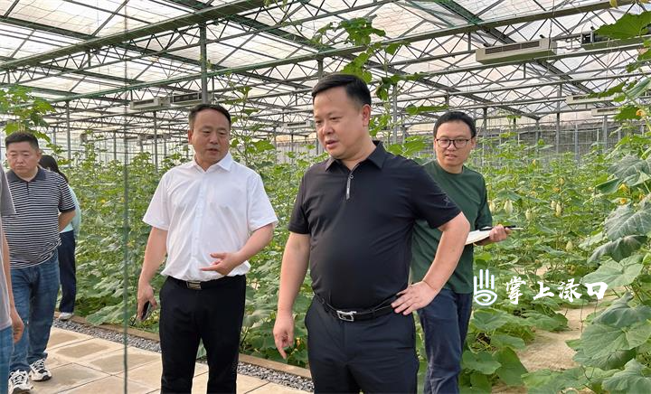 李晓彤调研亚热带果蔬特色产业发展情况