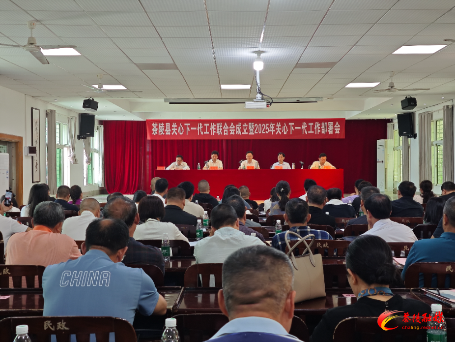 茶陵县关心下一代工作联合会成立暨2025年全县关心下一代工作部署会召开
