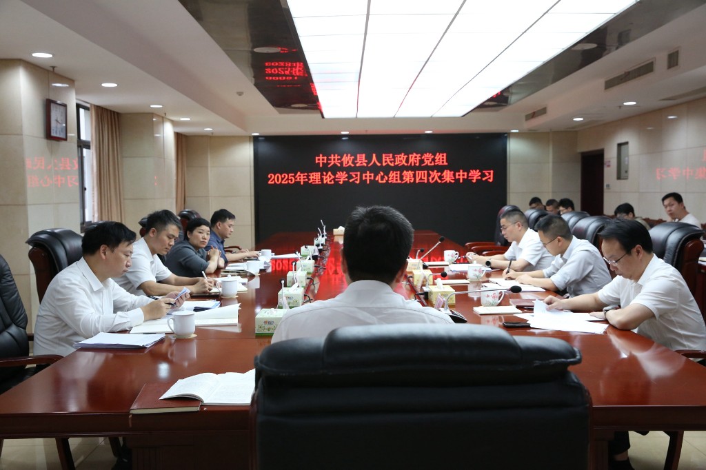 中共攸县人民政府党组开展2025年理论学习中心组第四次集中学习