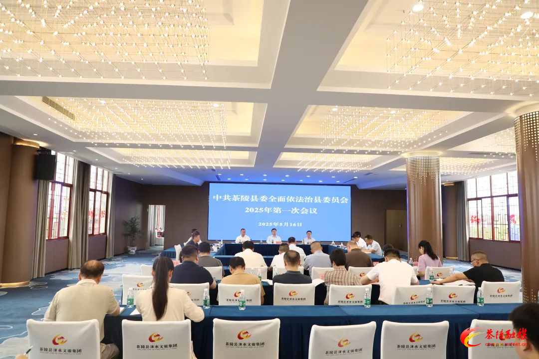 中共茶陵县委全面依法治县委员会2025年第一次会议召开