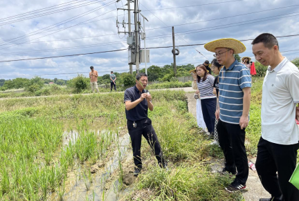 区农业农村局坚持开门教育：深入田间地头开展农技培训，切实提升服务群众本领