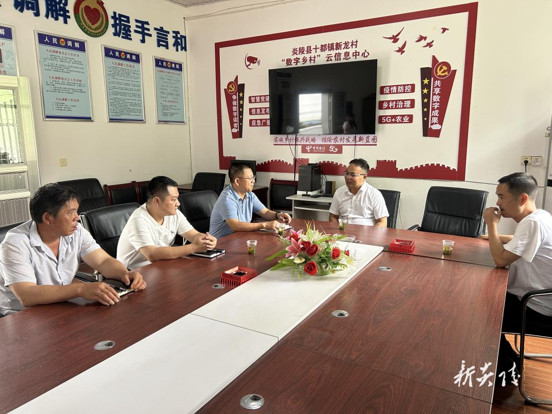 十都镇：人大代表与村支两委共谋乡村振兴新路径