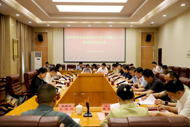 湖南省医保局督导组莅临株洲指导医保基金专项整治工作