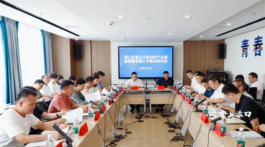 李晓彤主持召开渌口区高分子新材料产业链高质量发展工作要点研讨会