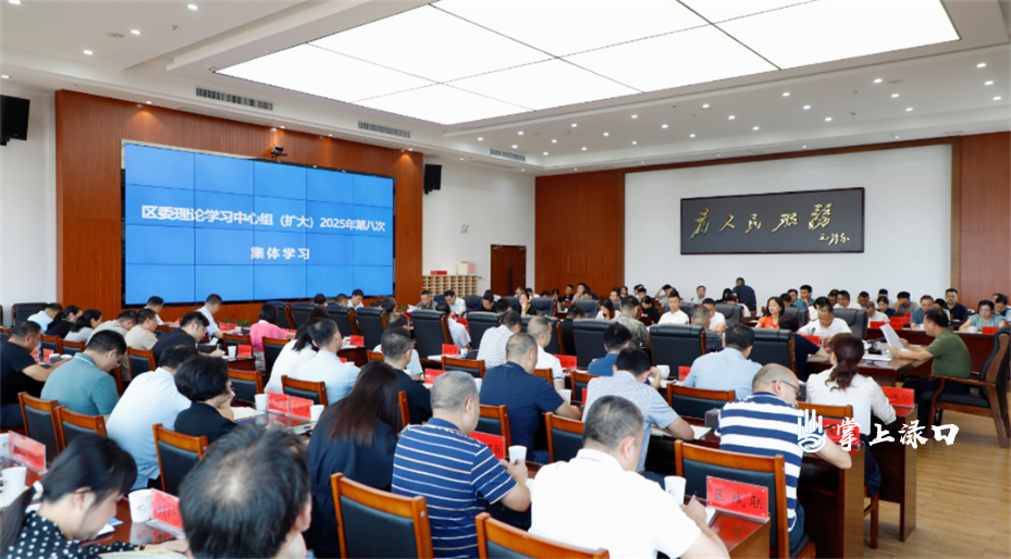 区委理论学习中心组（扩大）举行2025年第八次集体学习