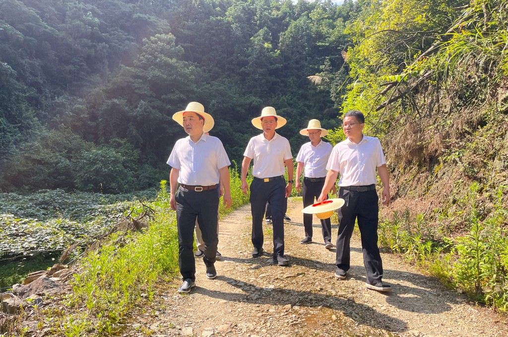李鹏程调研渌田镇经济社会发展情况