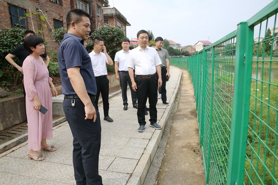 李鹏程督导环保整改工作 强调：扛牢责任 持续擦亮攸县高质量发展生态底色