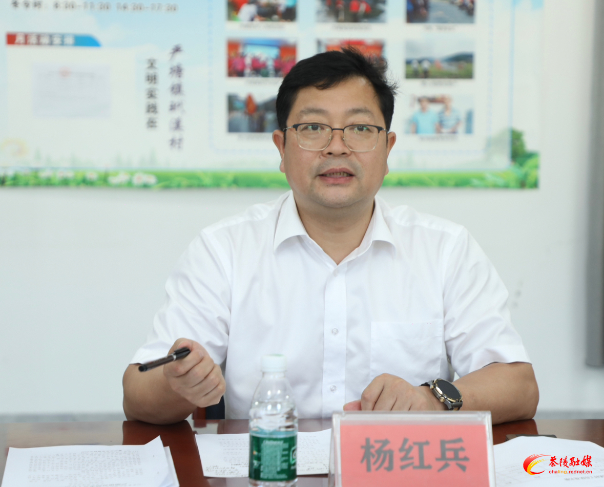 杨红兵到严塘镇调研乡村振兴驻村帮扶工作