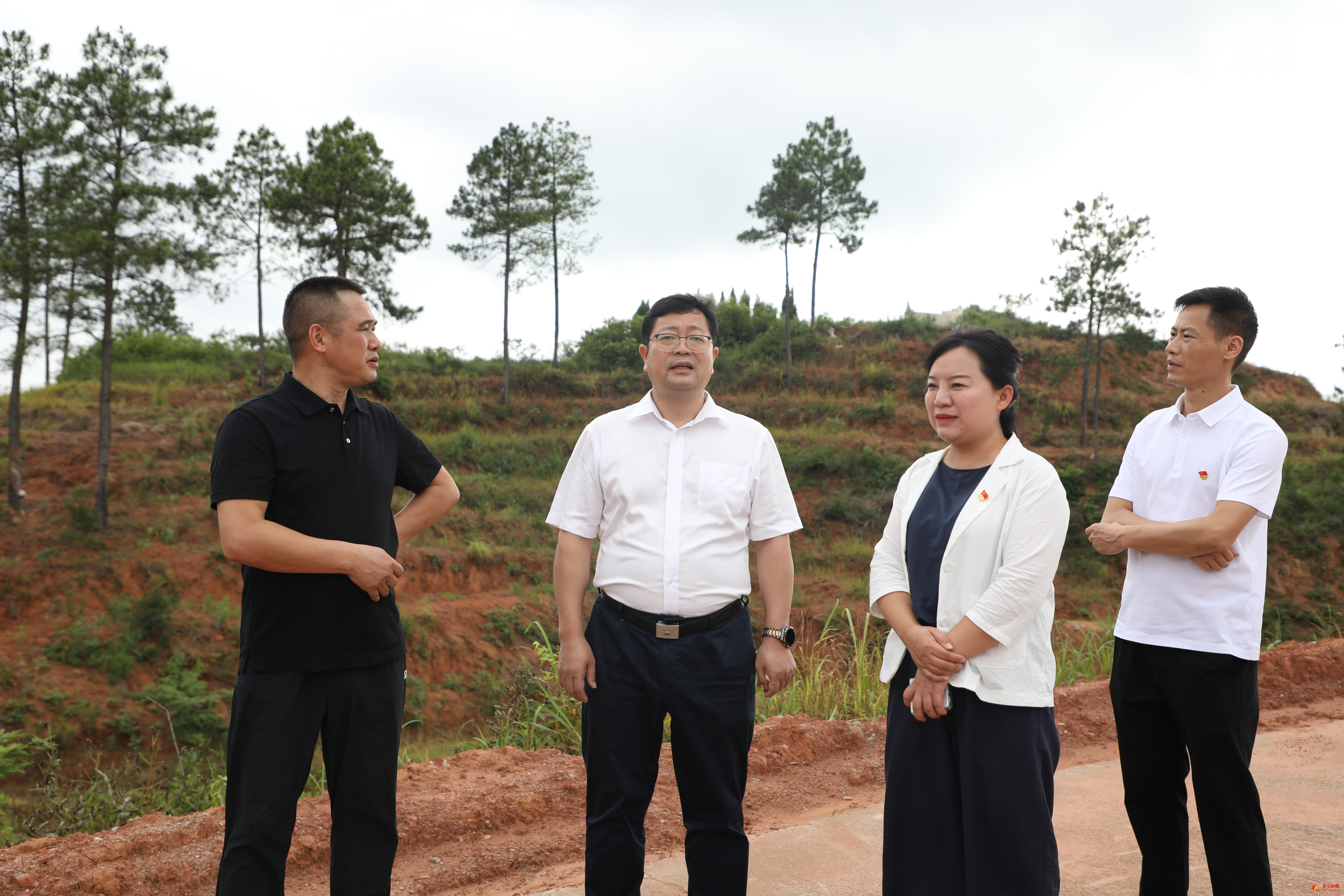杨红兵到舲舫乡调研