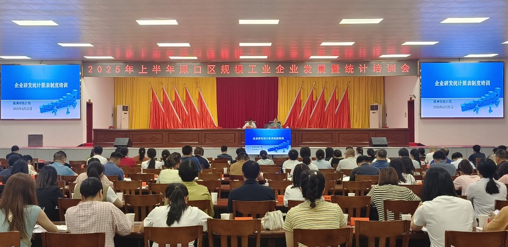 渌口区召开2025年上半年规模工业企业发展暨统计培训会