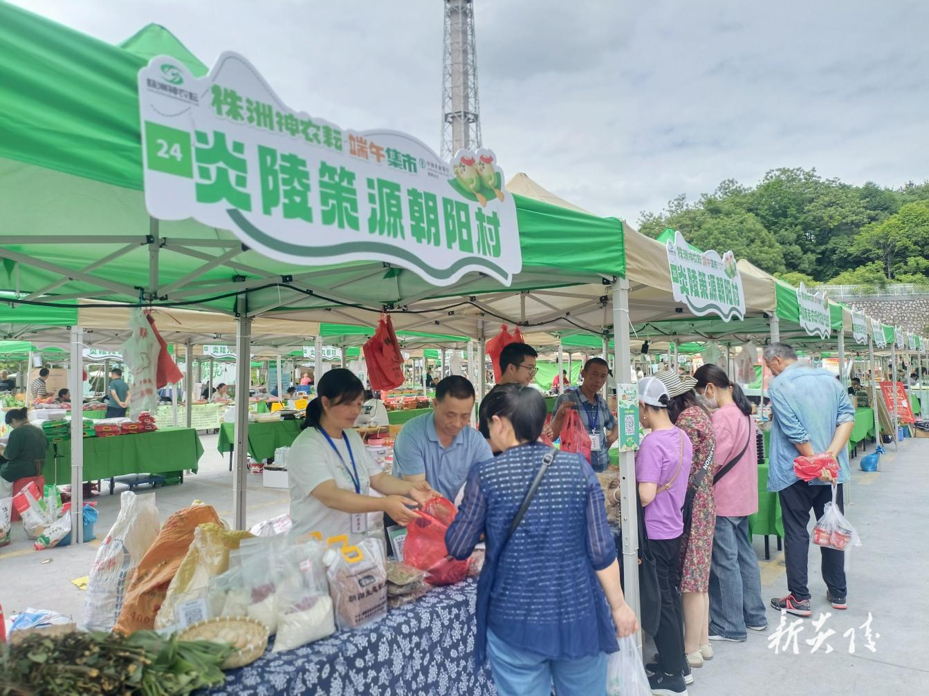 策源乡：朝阳村获评株洲市 神农耘端午集市十佳摊位