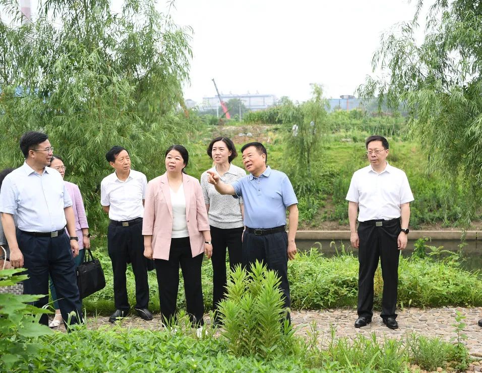 陈飞赴长株潭开展"法治护绿"执法检查、了解生态绿心保护条例、"三会三文"精神落实情况