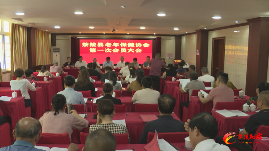 茶陵县老年保健协会第一次会员大会召开