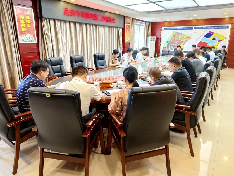 李鹏程主持召开医药中间体发展工作座谈会