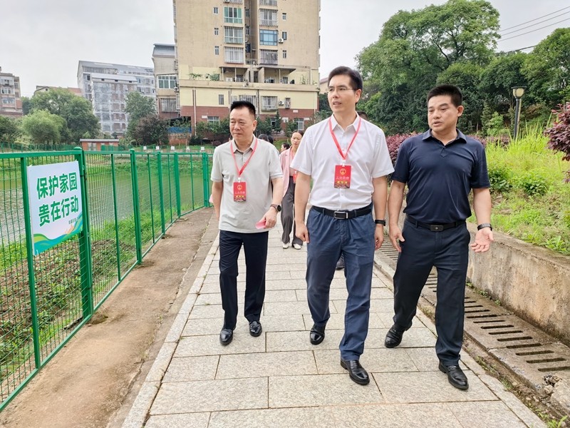 驻攸市人大代表第三小组代表开展“法治护绿人大行”集中进站活动