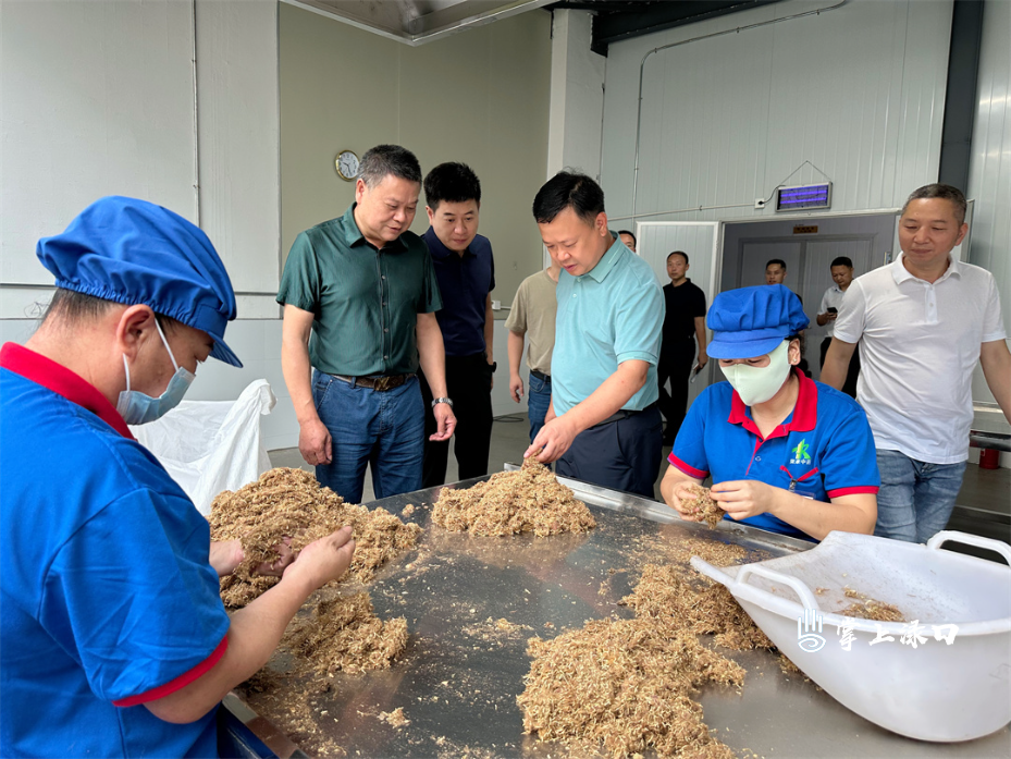 李晓彤调研园区产业项⽬建设⼯作