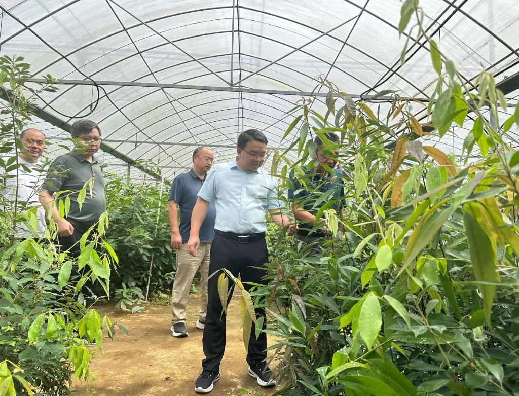 株洲市林业局局长周述勇调研全市国有林场工作，强调要实现生态保护与产业协同发展新路径