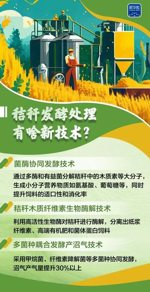 变饲料、转能源、种菌菇......秸秆原来这么"能"！
