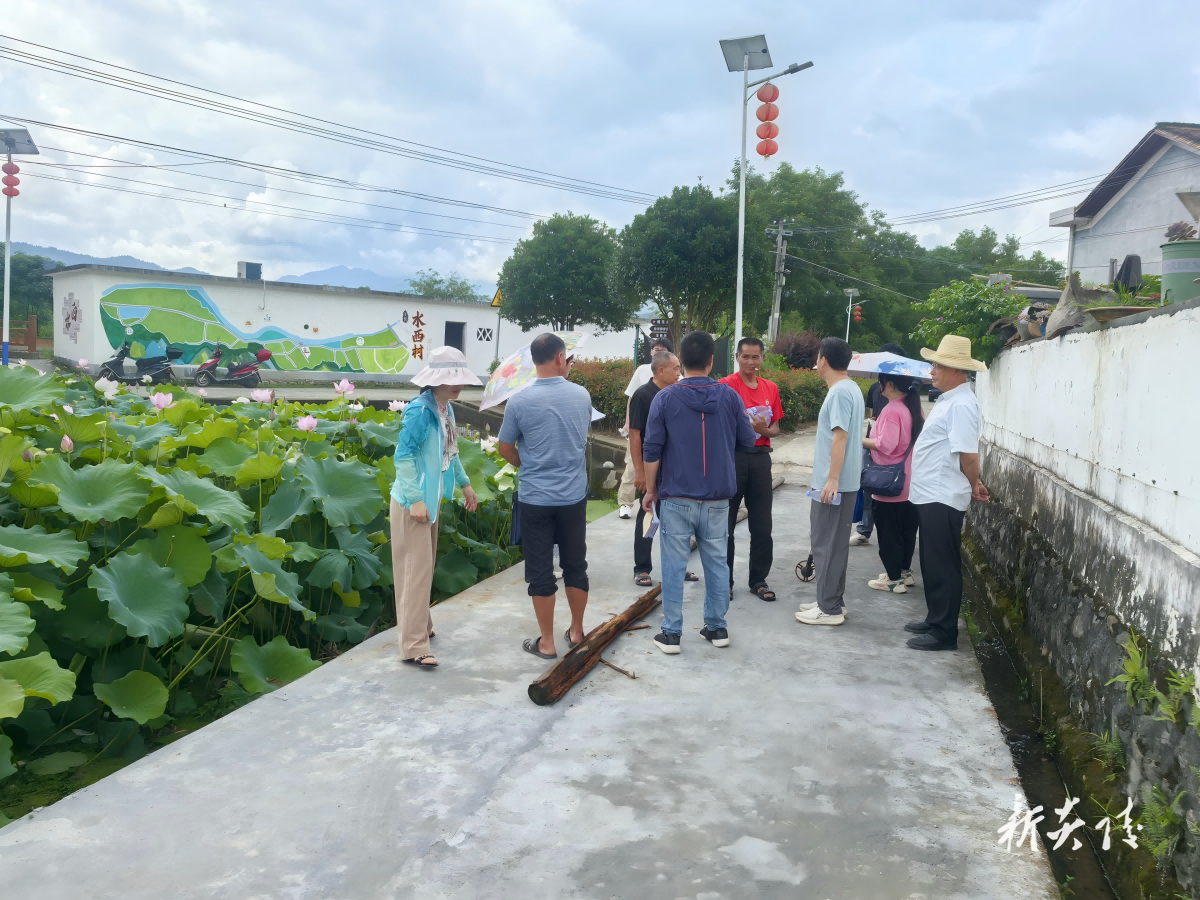 水口镇：代表当好“监督员” 实事结出“惠民果”
