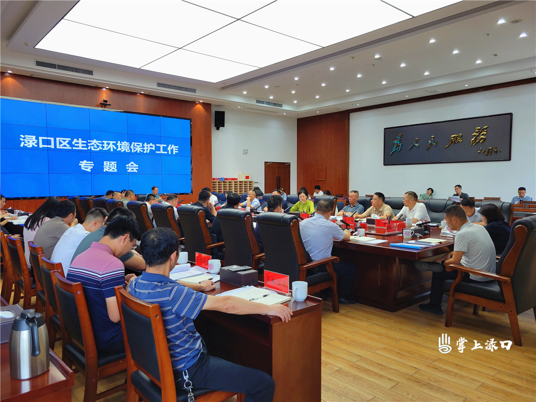 渌口区生态环境保护工作专题会召开