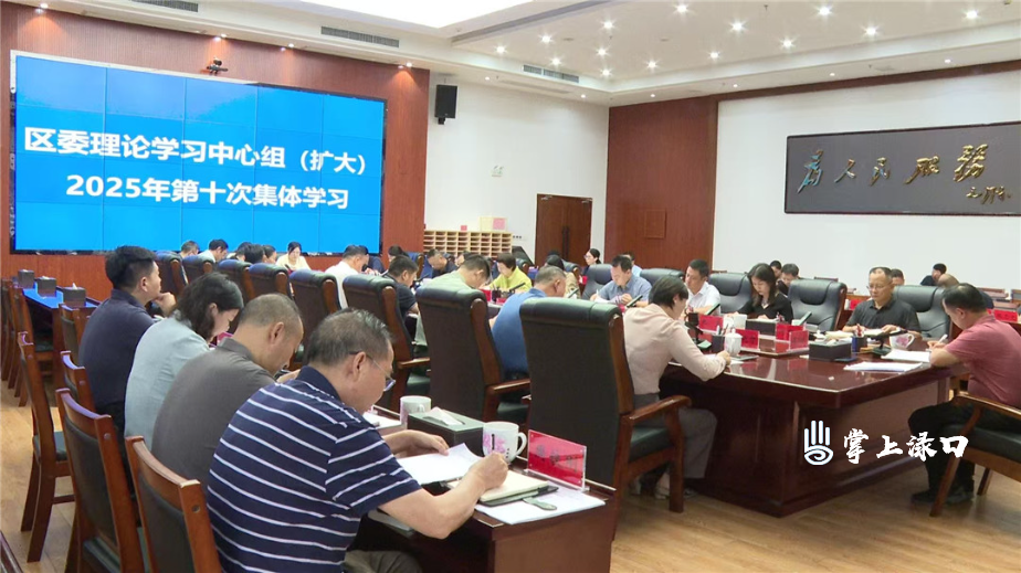 区委理论学习中心组（扩大）举行2025年第十次集体学习