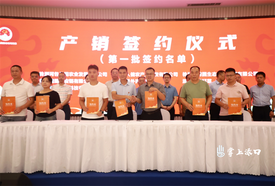 【渌口三农】株洲王十万黄辣椒产销对接会举行 现场签约金额超6000万元