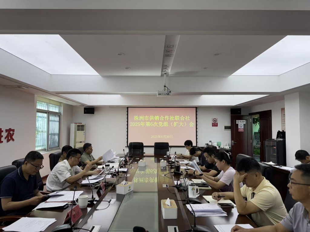 市供销社召开2025年 第6次党组（扩大）会议