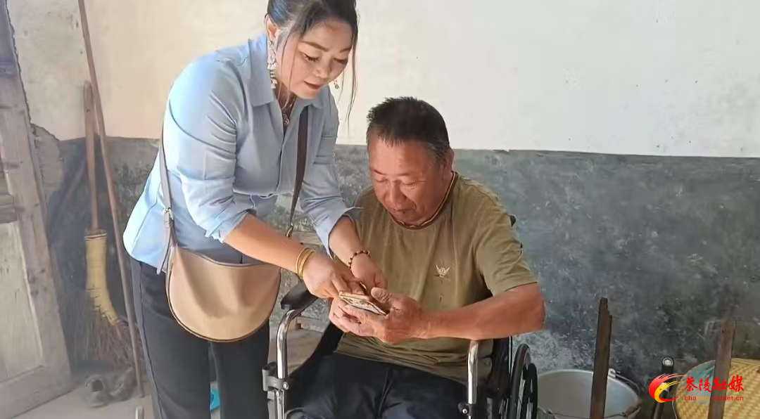 舲舫乡：云端助残暖人心 辅具申领“零距离”