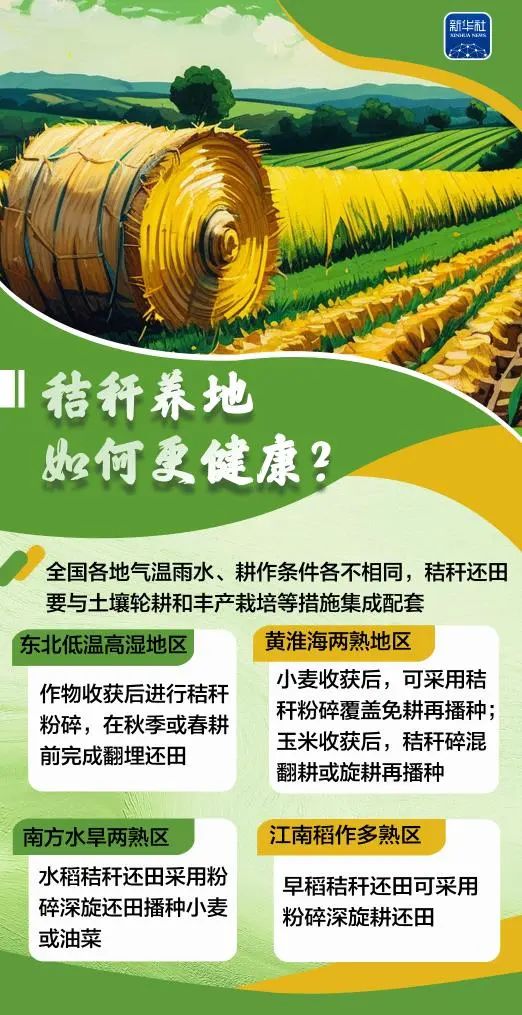 变饲料、转能源、种菌菇......秸秆原来这么"能"！