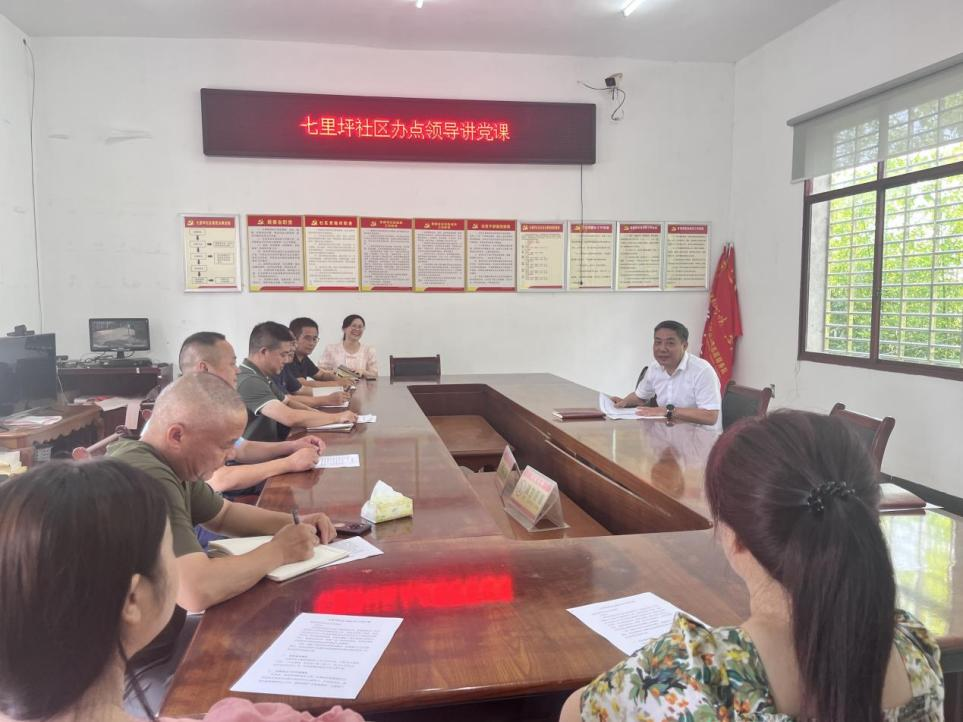 县领导到联星街道联点村讲专题党课 强调以优良作风筑牢基层根基