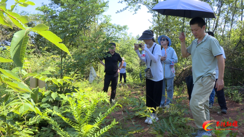 县征地服务中心：优化坟墓清点方法 保障政策资金安全