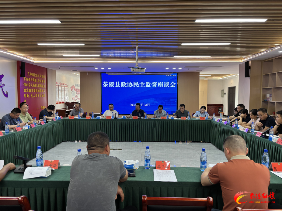 茶陵县政协民主监督座谈会召开