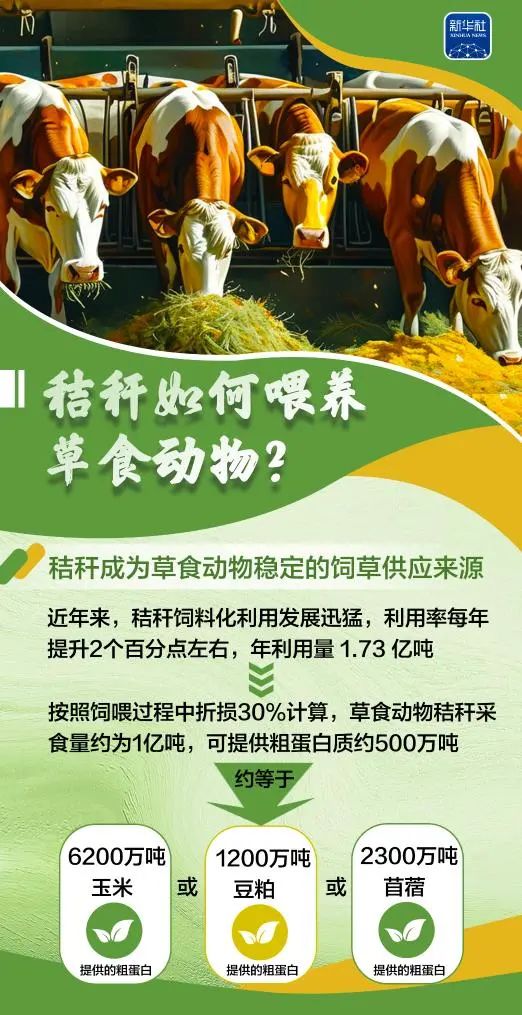 变饲料、转能源、种菌菇......秸秆原来这么"能"！