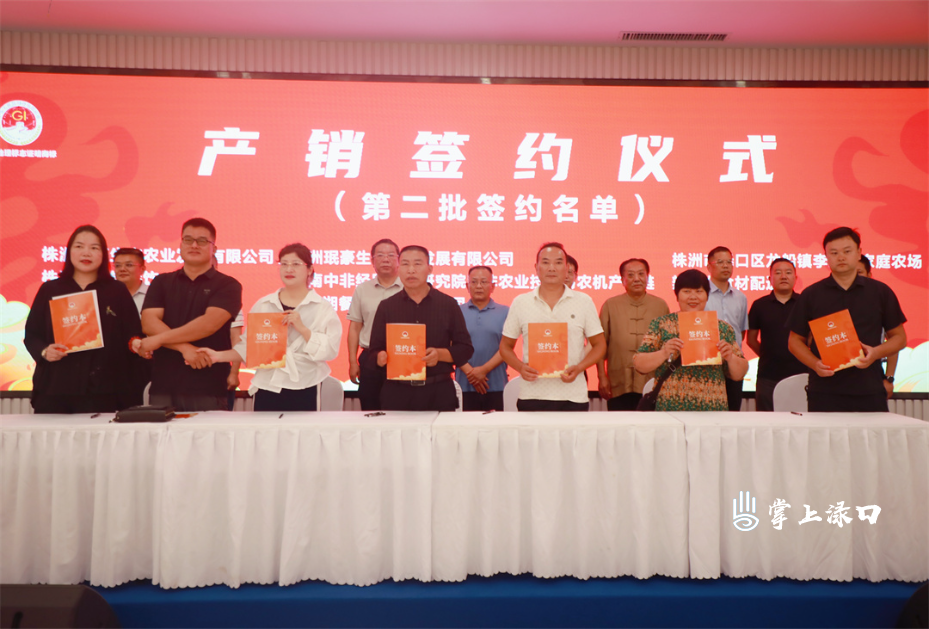【渌口三农】株洲王十万黄辣椒产销对接会举行 现场签约金额超6000万元