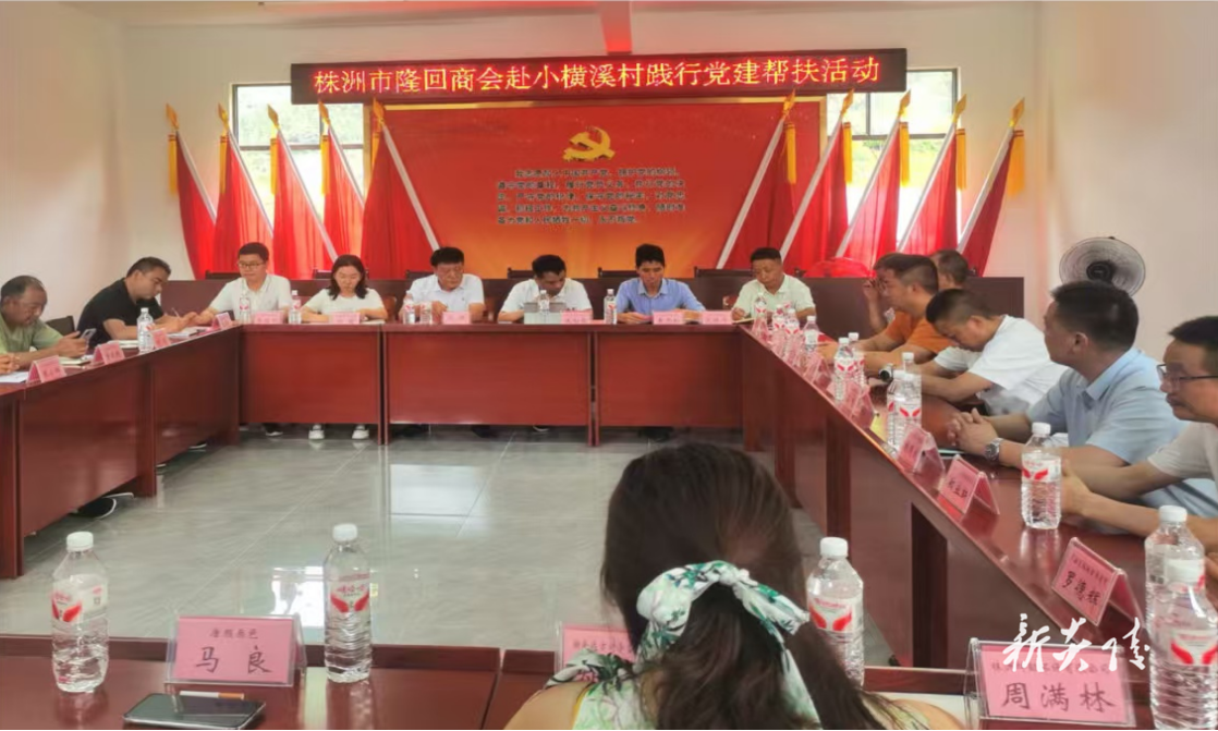 下村乡：党建引领聚合力 商会帮扶助振兴