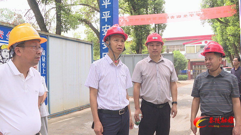 【人大代表票决 民生实事落地】茶陵县人大开展2025年度人大代表票决民生实事专项督查