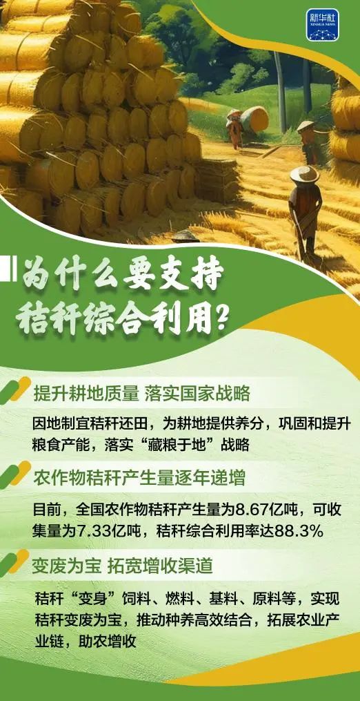 变饲料、转能源、种菌菇......秸秆原来这么"能"！