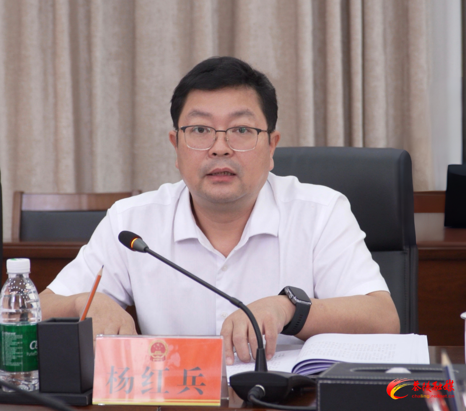茶陵县上半年经济运行分析及三季度和7月份经济运行监测会召开