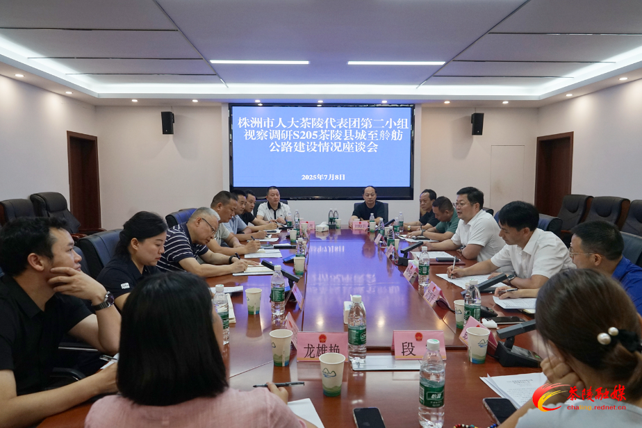 株洲市人大茶陵代表团第二小组视察调研S205茶陵县城至舲舫公路建设情况
