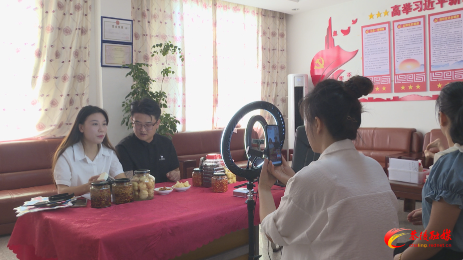 茶陵县开展网络创业直播公益培训 助力青年解锁就业新技能